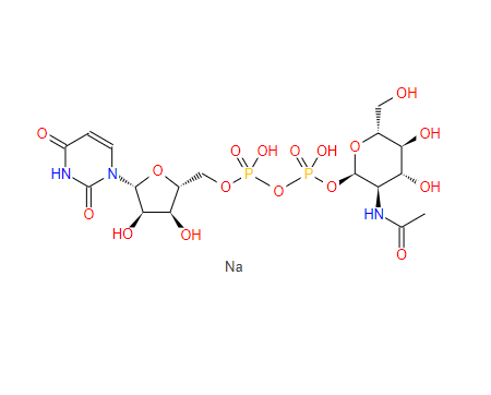 5′-二磷酸尿嘧啶核苷-N-乙酰半乳糖胺二钠盐91183-9